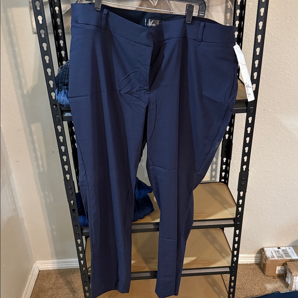 Stylish Blue Women's Trousers